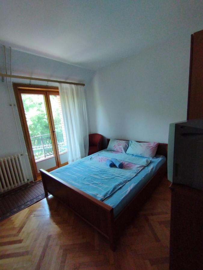Vila Marko Niska Banja Exterior photo