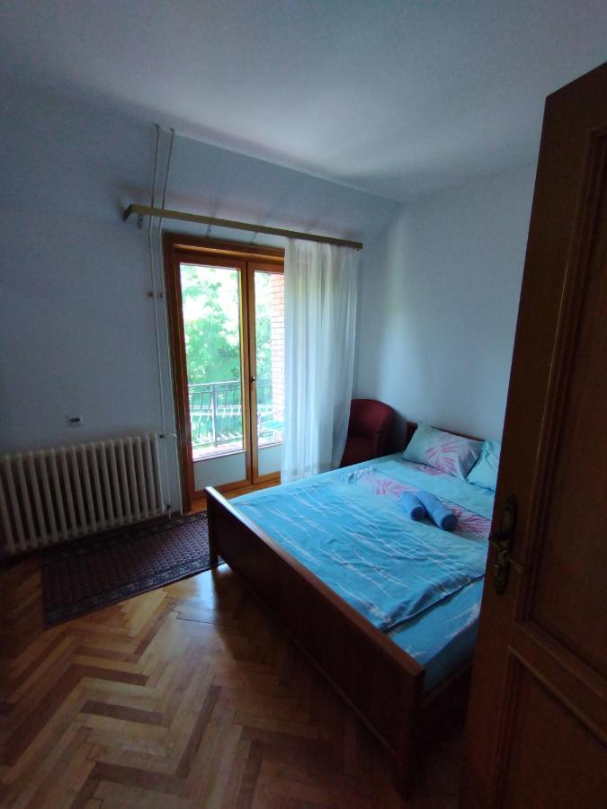 Vila Marko Niska Banja Exterior photo